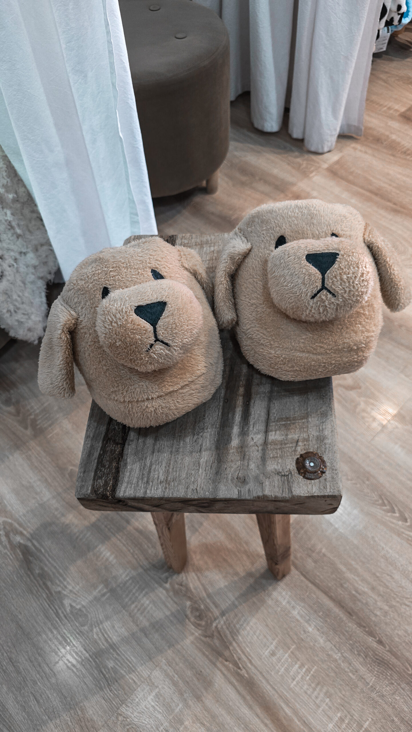 Pantu Perrito - Imagen 4