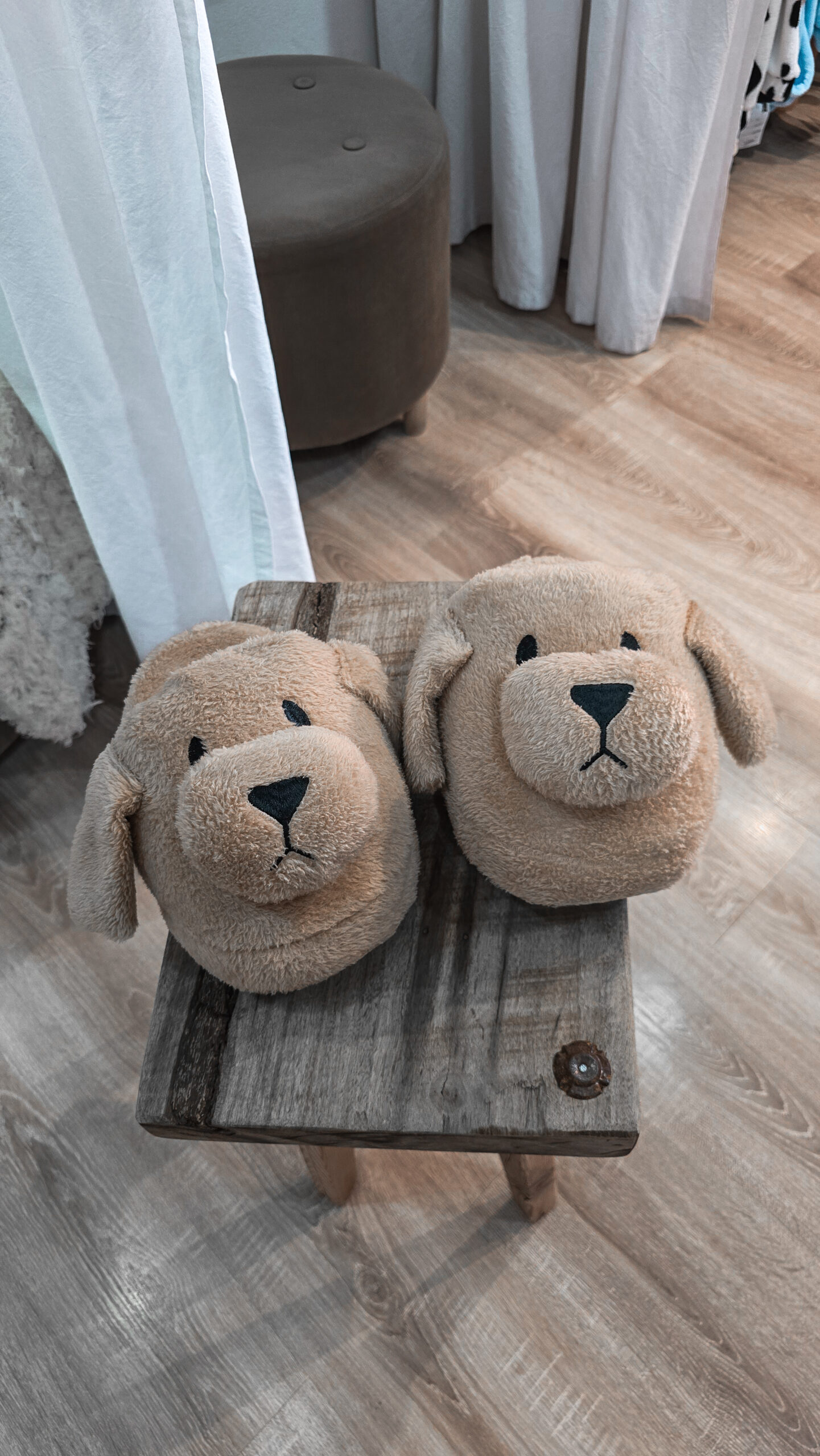 Pantu Perrito - Imagen 2